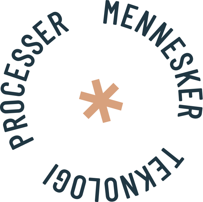 Processer, mennesker og teknologi - Carve Consulting